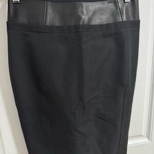 KaufmanFranco Skirt  Size 4/40
